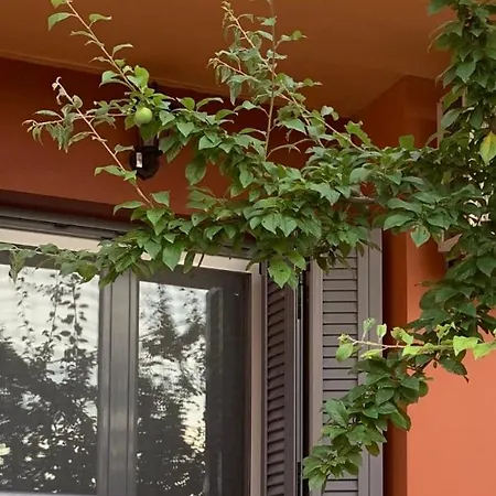 Apartment Lefkas